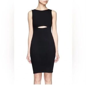 Helmut Lang Bodycon Front Slit Dress Petite 00